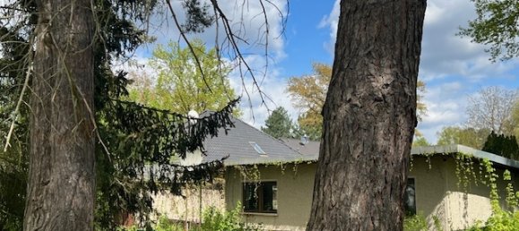 Земельный участок в Даме-Шпревальд, Германия № 56858 6