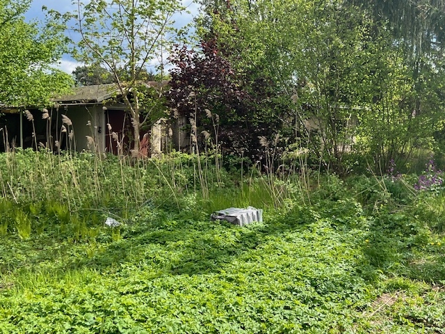 Земельный участок в Даме-Шпревальд, Германия № 56858