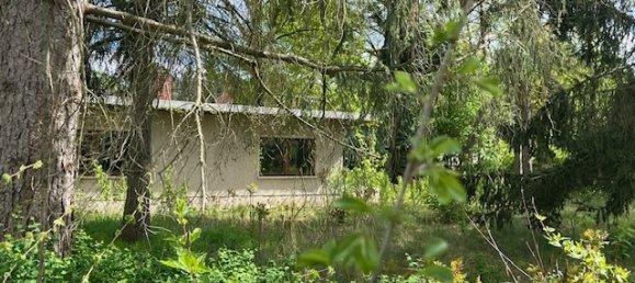 Земельный участок в Даме-Шпревальд, Германия № 56858 7