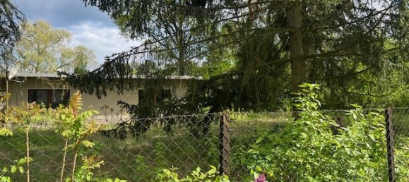 Земельный участок в Даме-Шпревальд, Германия № 56858 3