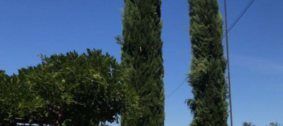 7-Zimmer Villa in Bucine, Italy, Nr. 234076 35