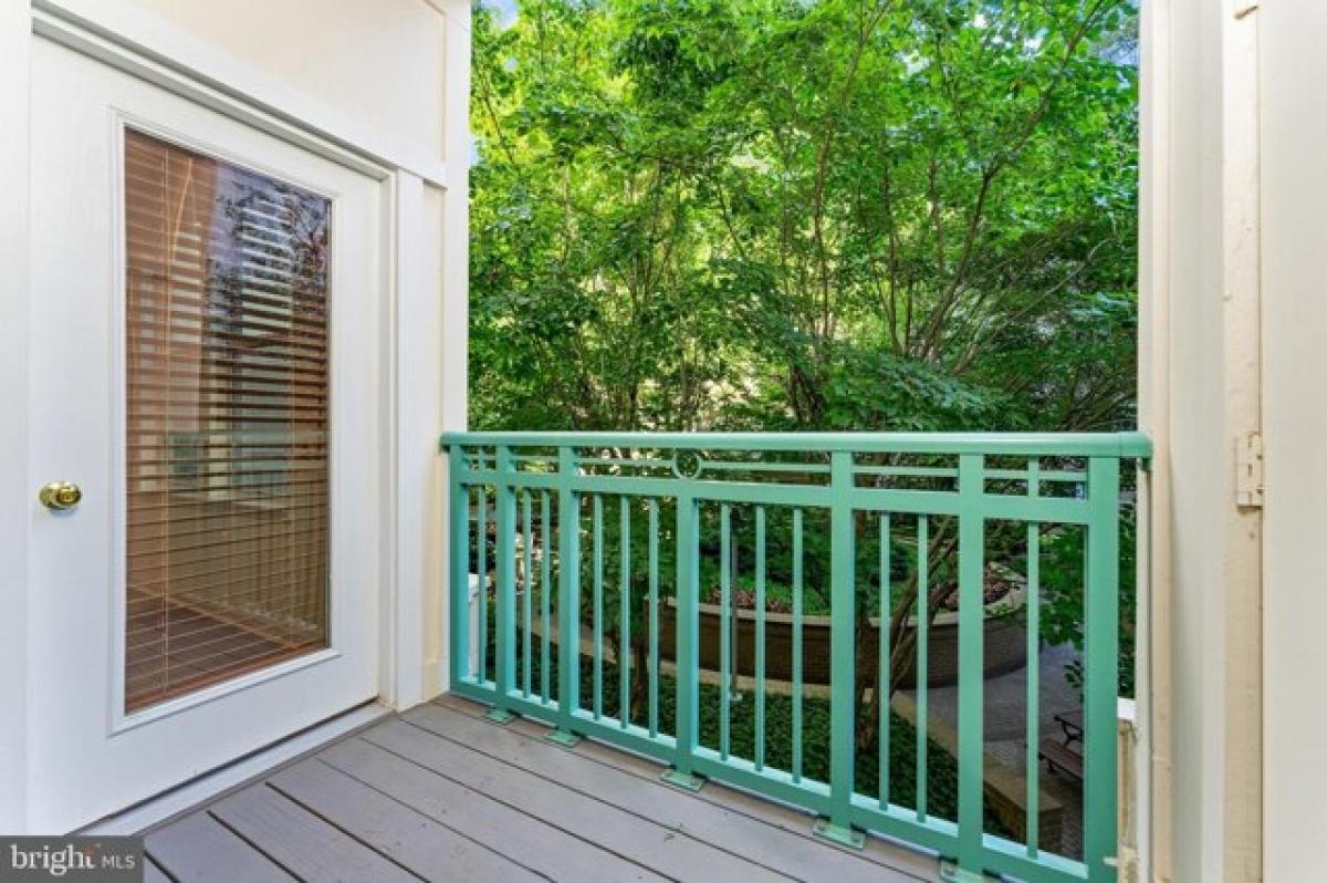 Studio in Reston, USA No. 390916