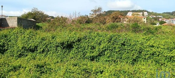  قطعة أرض في Canico, Portugal 1910متر مربع رقم 95216 4