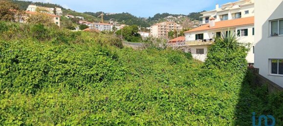  قطعة أرض في Canico, Portugal 1910متر مربع رقم 95216 5