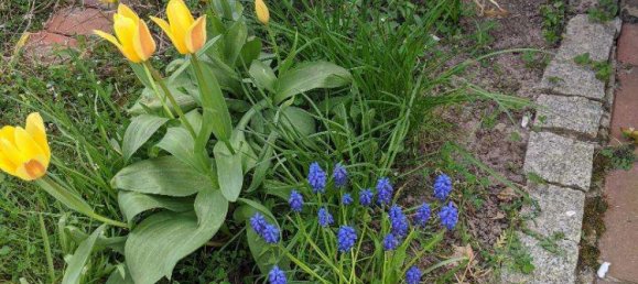 9 bedrooms Building in Vorpommern-Rugen, Germany No. 218079 43