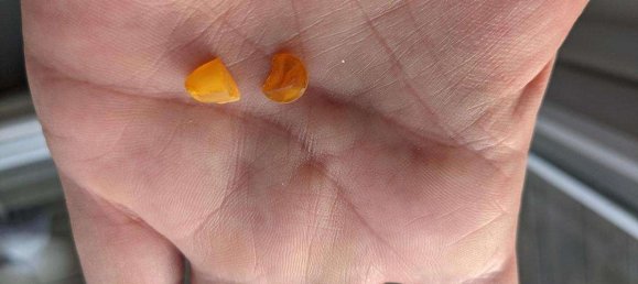 9 bedrooms Building in Vorpommern-Rugen, Germany No. 218079 31