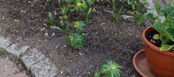 9 bedrooms Building in Vorpommern-Rugen, Germany No. 218079 41