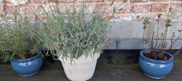 9 bedrooms Building in Vorpommern-Rugen, Germany No. 218079 37