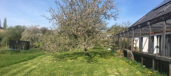 12 rooms House in Gussing, Austria No. 198488 9