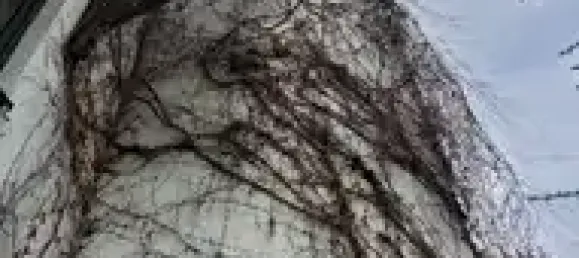 10-salle Bâtiment à Vogtlandkreis, Germany No. 221506 5