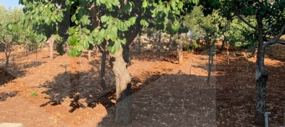 3 rooms Villa in Monopoli, Italy No. 28775 23