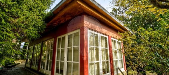 9 bedrooms House in Covelas, Portugal No. 34260 47