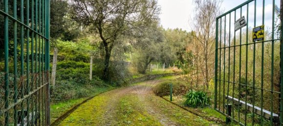 9 bedrooms House in Covelas, Portugal No. 34260 32