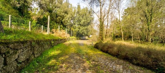 9 bedrooms House in Covelas, Portugal No. 34260 33