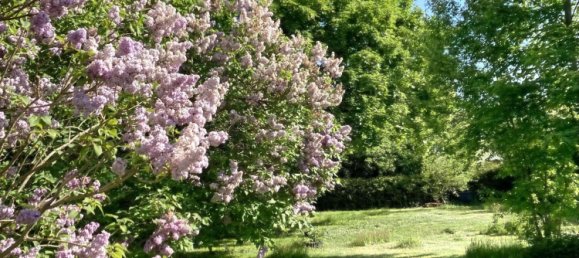 6-Zimmer Haus in Zollernalbkreis, Germany, Nr. 224343 35