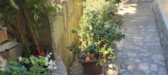 2-Zimmer Wohnung in Sanremo, Italy, Nr. 116860 16