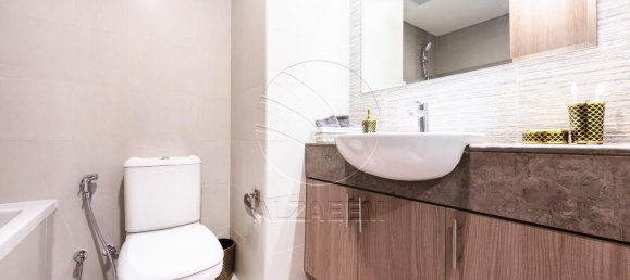 Studio in Saadiyat Island, UAE No. 29239 13