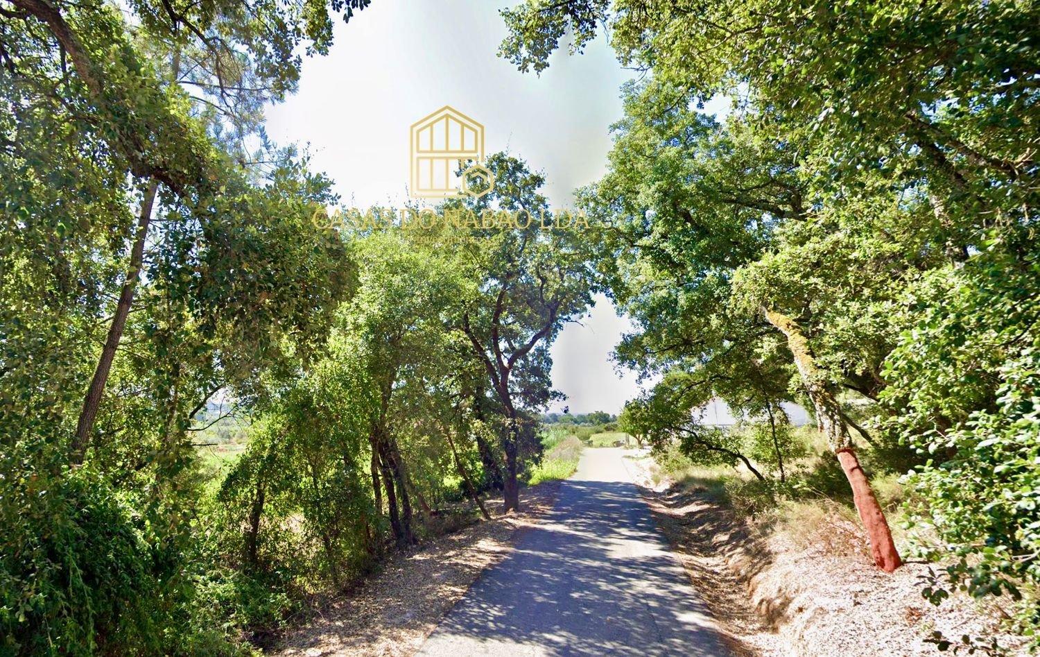 Grundstück in Tomar, Portugal, Nr. 266529