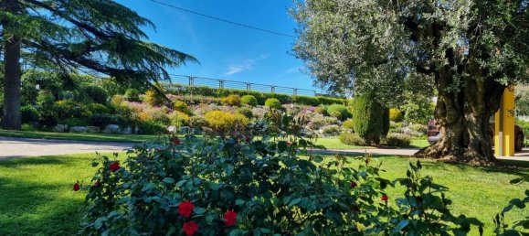 18-Zimmer Villa in Senigallia, Italy, Nr. 229110 18