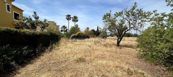 4 bedrooms Land in Guia, Portugal No. 140262 8