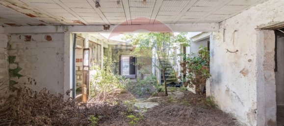 3 Schlafzimmer Haus in Alfarelos, Portugal, Nr. 165860 14