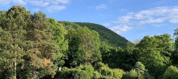 Bungalow T2 em Seebenstein, Austria N.º 196283 18