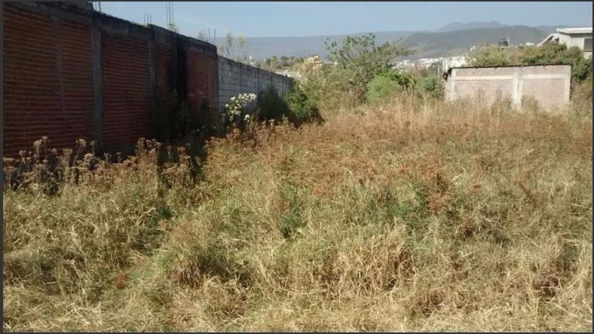  Land in Ciudad Lopez Mateos, Mexico No. 206556