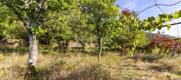 Terreno em Ponte da Barca, Portugal 1760 m² N.º 70374 2