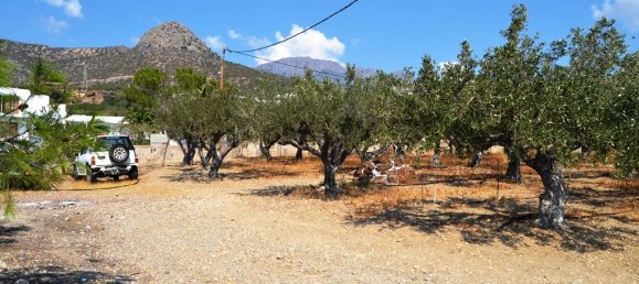  فندق في Ierapetra, Greece 5500متر مربع رقم 5423 2