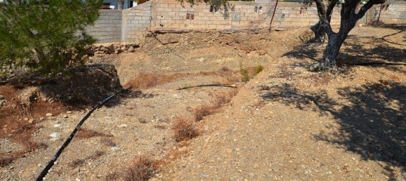  فندق في Ierapetra, Greece 5500متر مربع رقم 5423 3