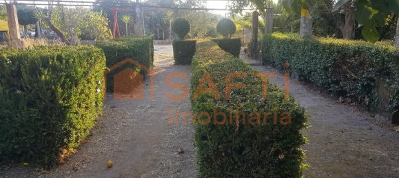 20 غرف نوم منزل في Abrunhosa a Velha, Portugal رقم 41391 23