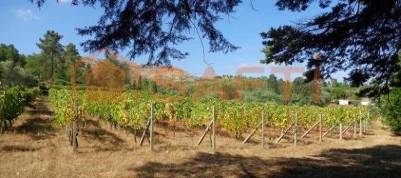 20 غرف نوم منزل في Abrunhosa a Velha, Portugal رقم 41391 36