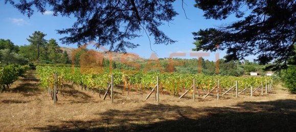 20 غرف نوم منزل في Abrunhosa a Velha, Portugal رقم 41391 42