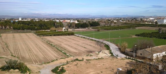  Land in Benijofar, Spain No. 189153 5