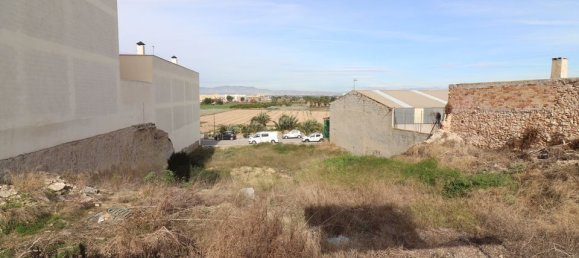  Land in Benijofar, Spain No. 189153 3