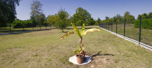 3 غرف نوم منزل في Le Controis-en-Sologne, France رقم 76333 2