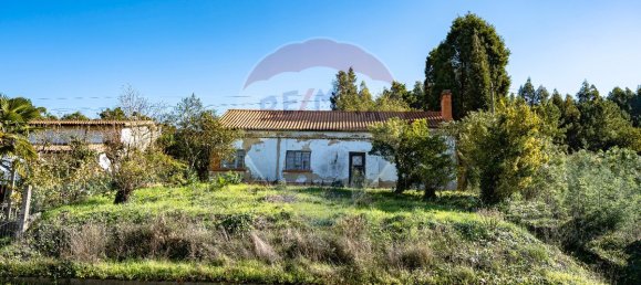 3 غرف نوم منزل في Anadia, Portugal رقم 50402 5