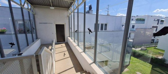 2 rooms Apartment in Simmering, Austria No. 204735 14