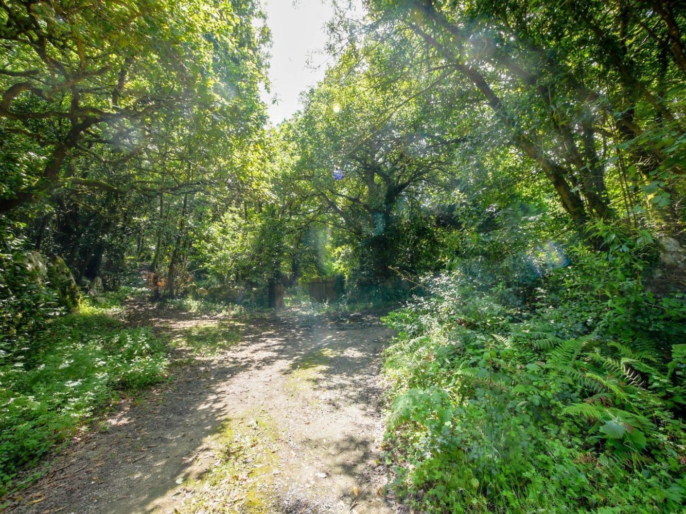  Land in Cantabria, Spain No. 163787