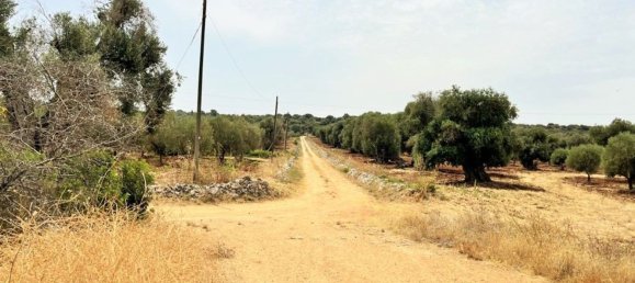 9 chambres Maison à Ostuni, Italy No. 339855 36