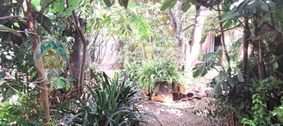 1 chambre Maison à Sa Pobla, Spain No. 152600 17