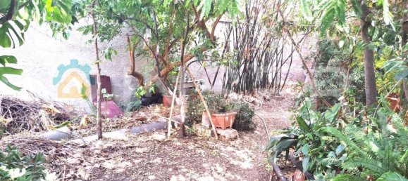 1 chambre Maison à Sa Pobla, Spain No. 152600 19