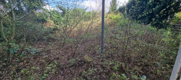 4 غرف نوم تاون هاوس في Pirmasens, Germany رقم 37973 15