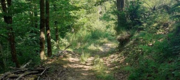 Квартира с 8 комнатами в Кантагалло, Италия № 285026 8