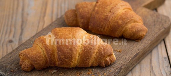 1-Zimmer Gewerbliche Immobilie in Chioggia, Italy, Nr. 56505 4