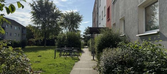 3-salle Appartement à Celle, Germany No. 315506 3