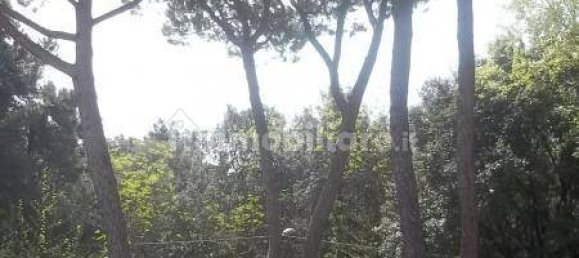 2 Schlafzimmer Haus in Massa, Italy, Nr. 216520 21