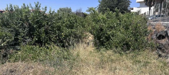  قطعة أرض في Gravina di Catania, Italy 2266متر مربع رقم 282819 5