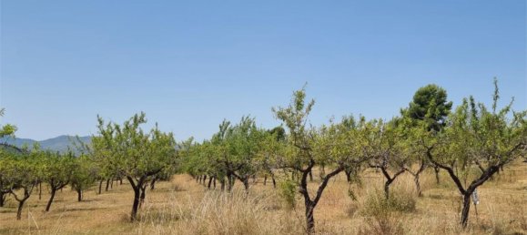 Земельный участок 15000м² в Гельдо, Испания № 165958 5