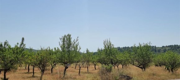 Земельный участок 15000м² в Гельдо, Испания № 165958 6